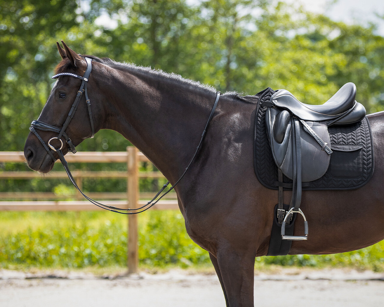 Saddle pad with pocket