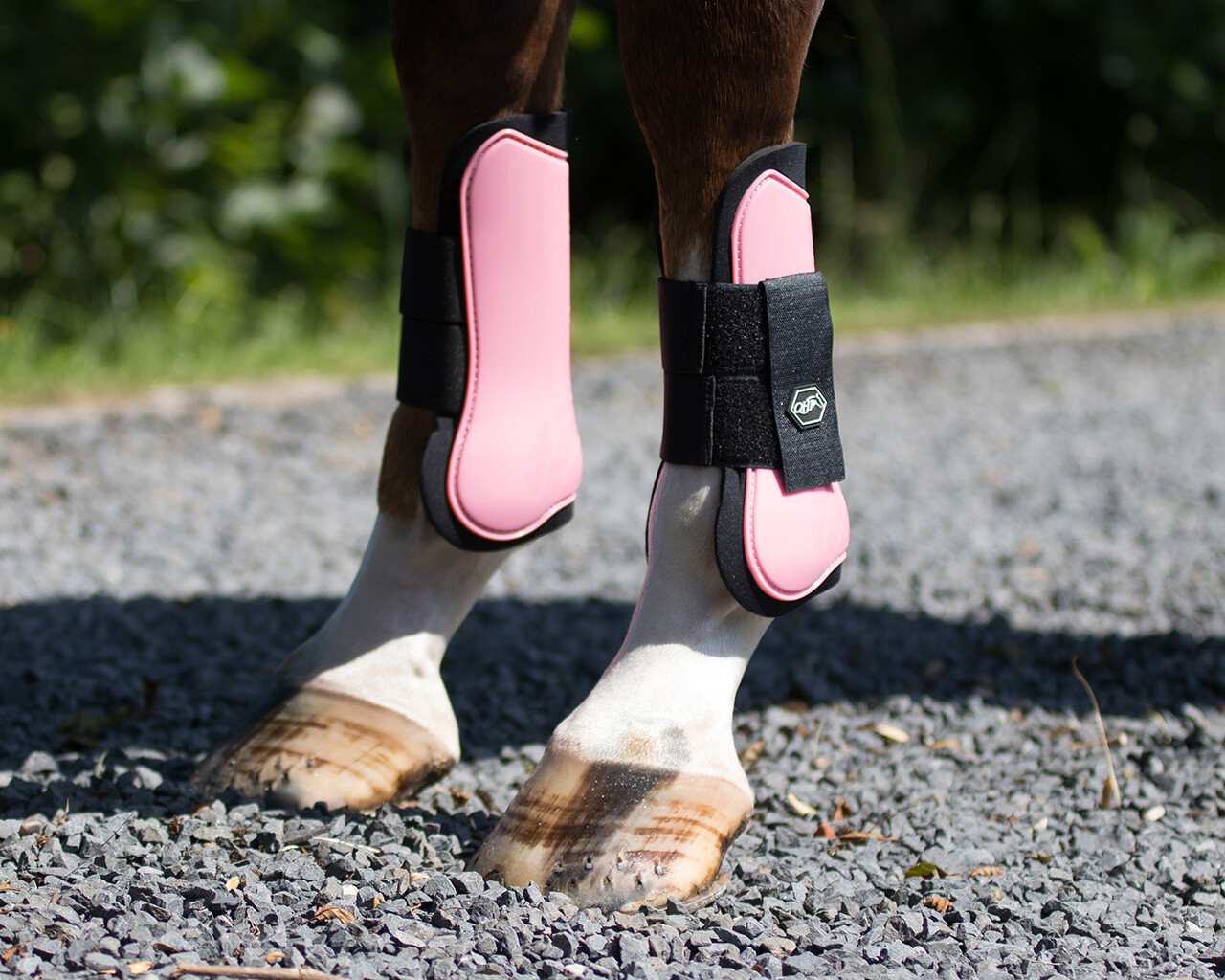 Shires Arma Tendon Boot Full Size Black/Pink
