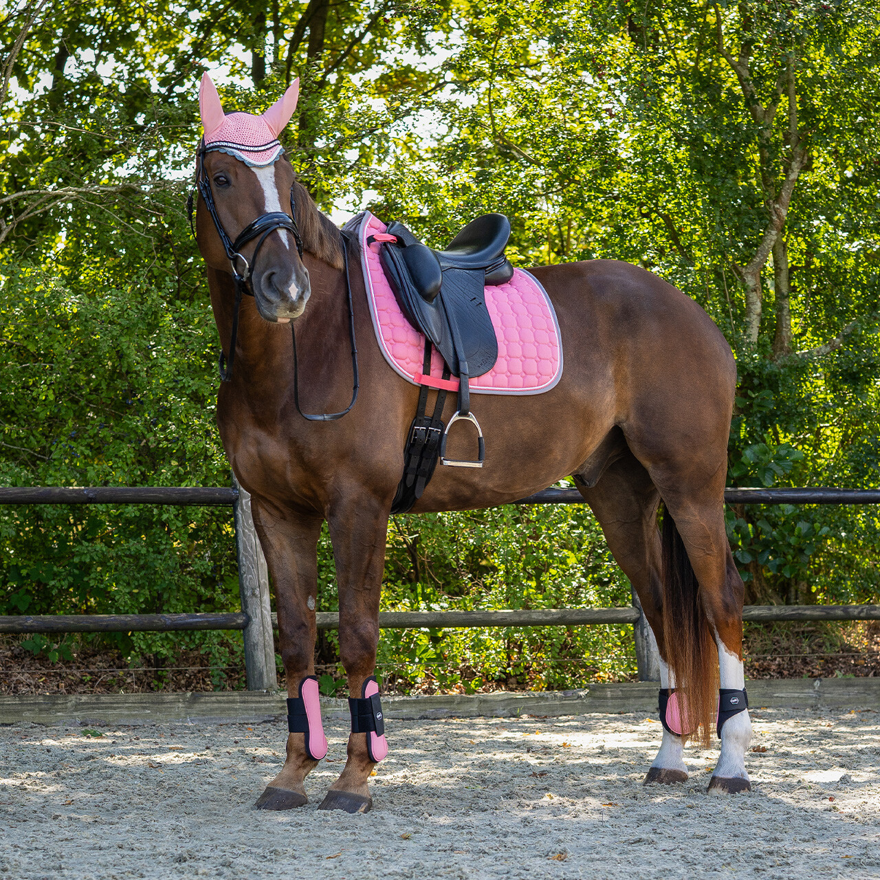 Tendon boots