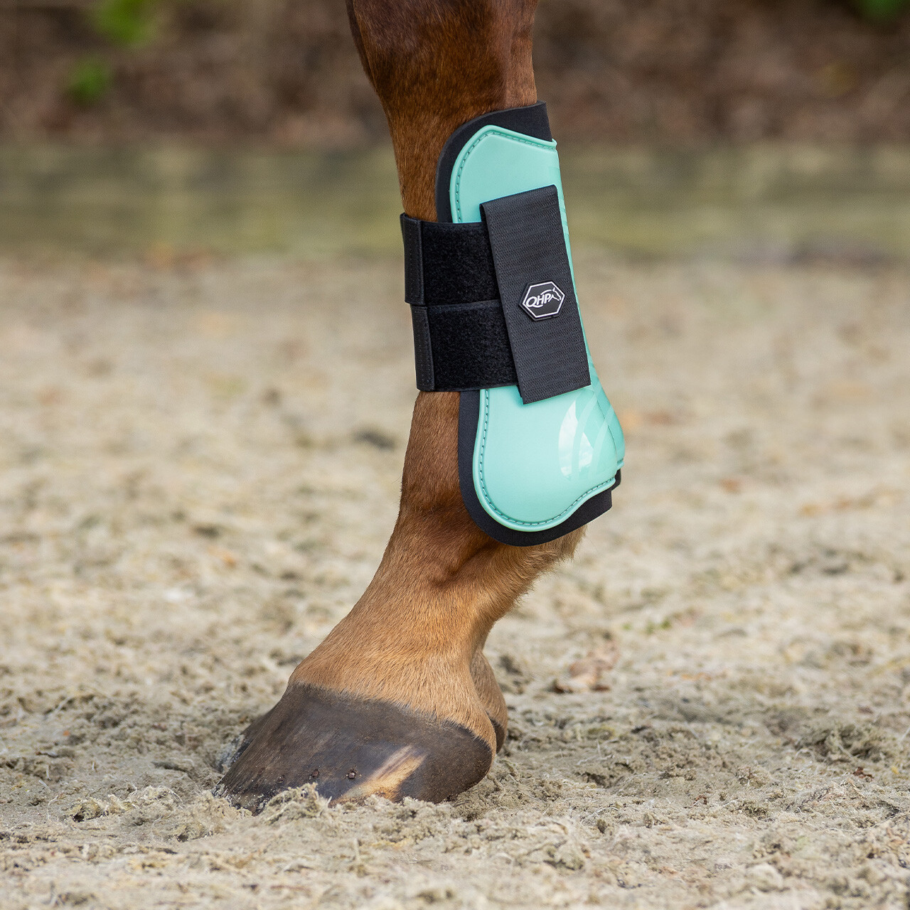 Tendon boots