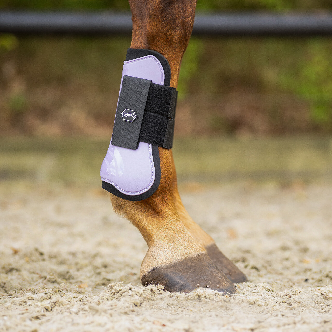 Tendon boots