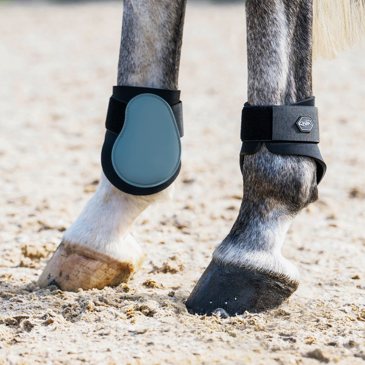 Fetlock boots