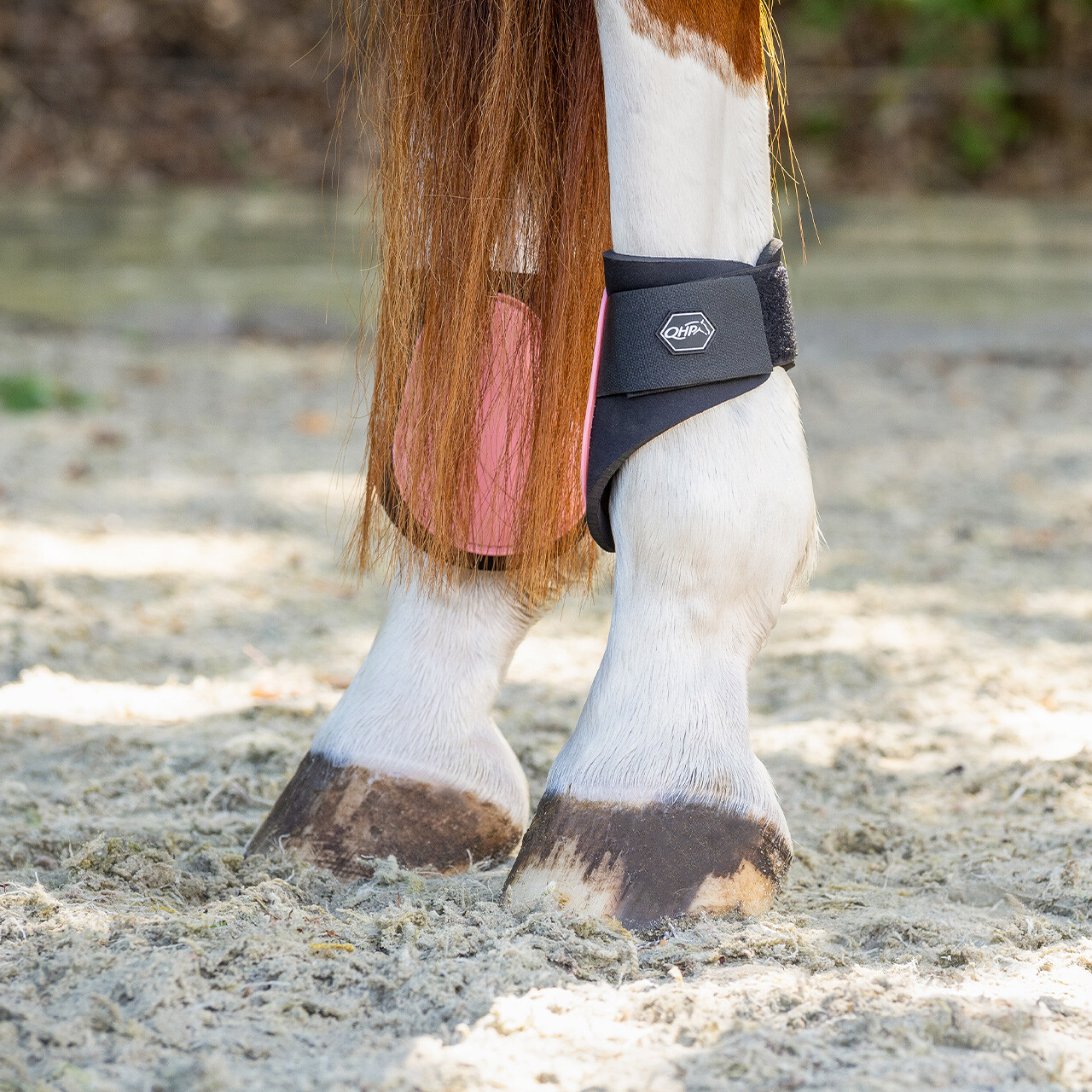 Fetlock boots