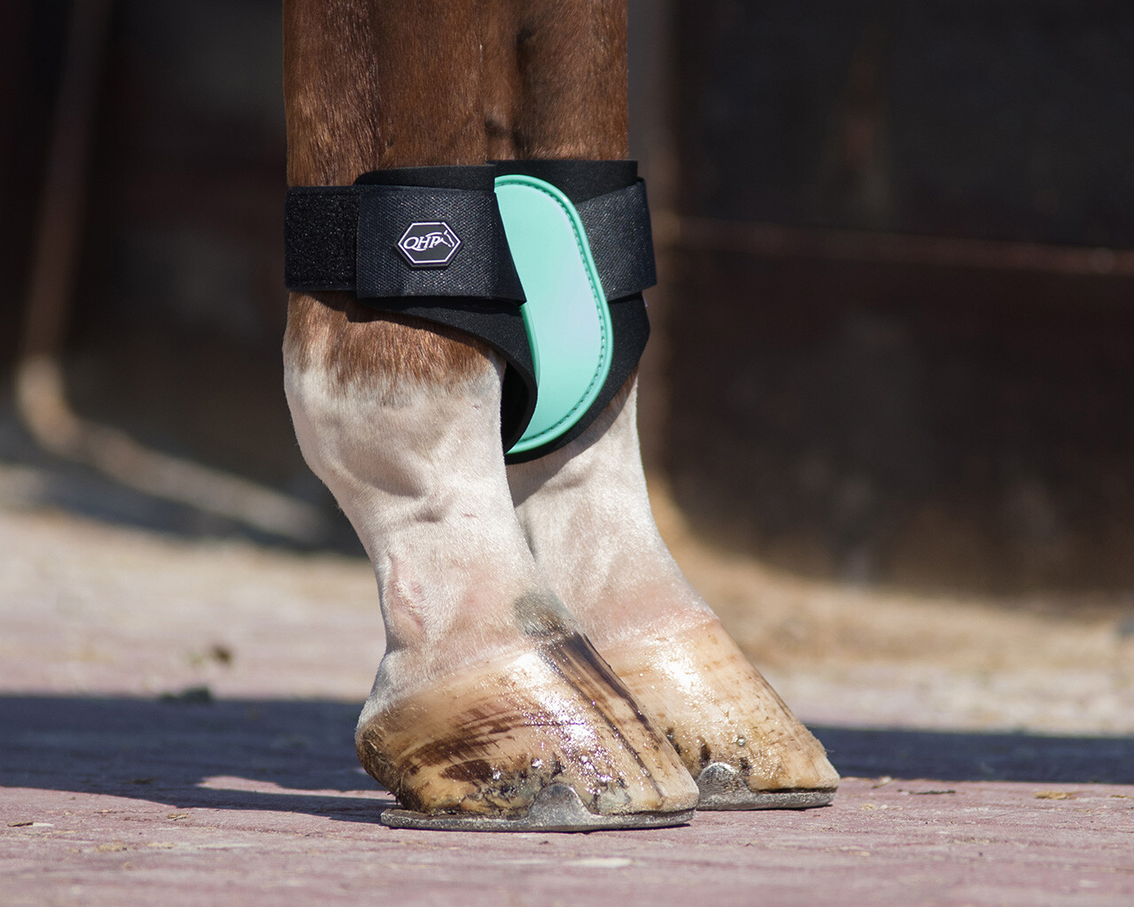 Fetlock boots