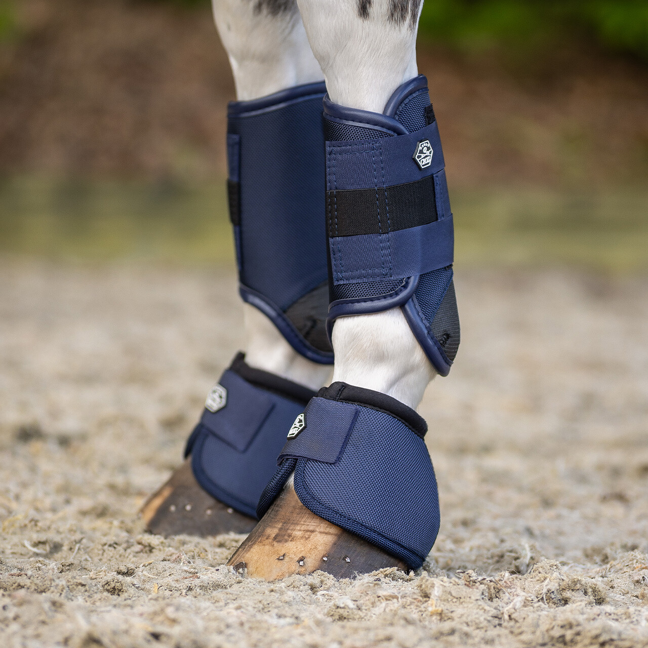 Eventing boots front leg technical