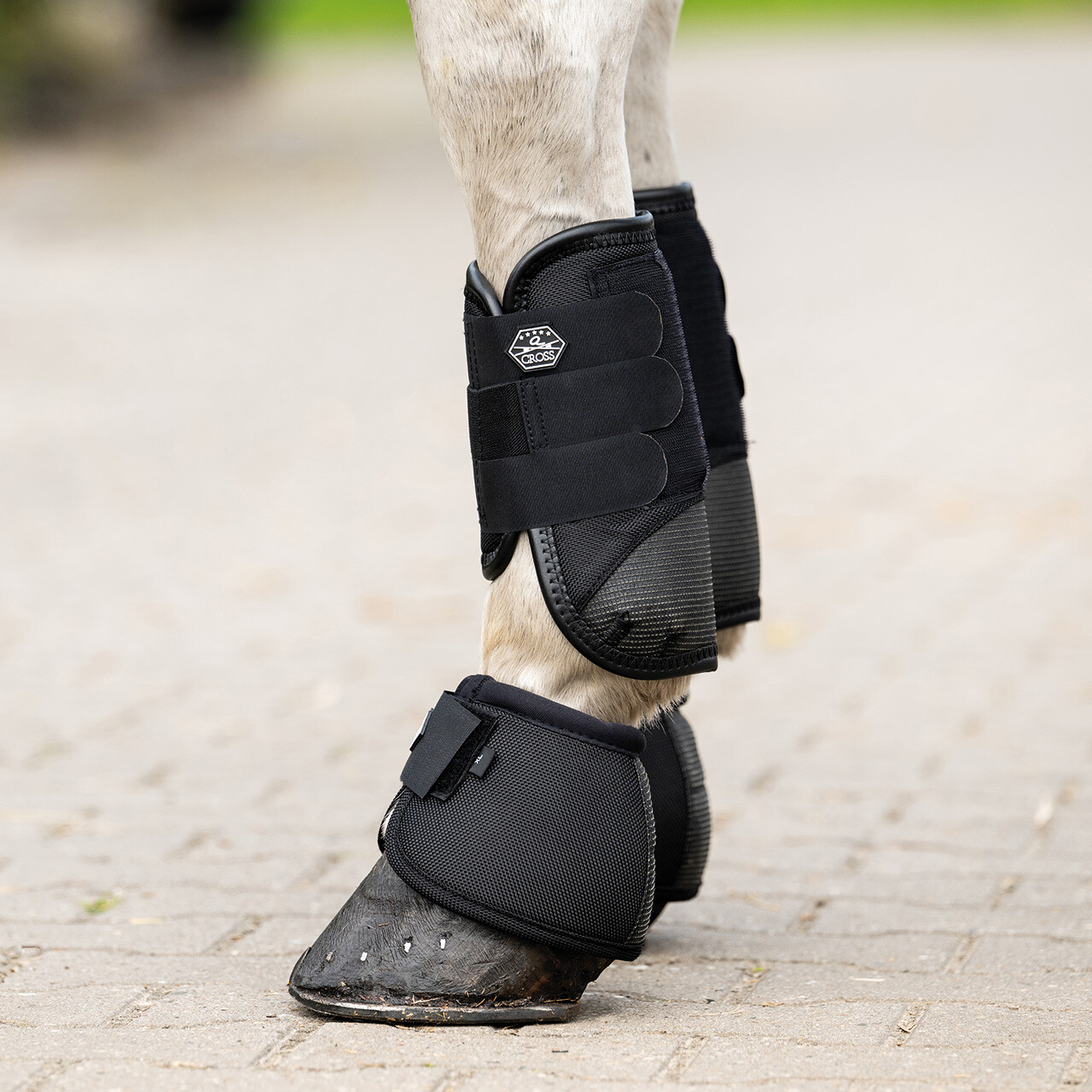 Eventing boots front leg technical
