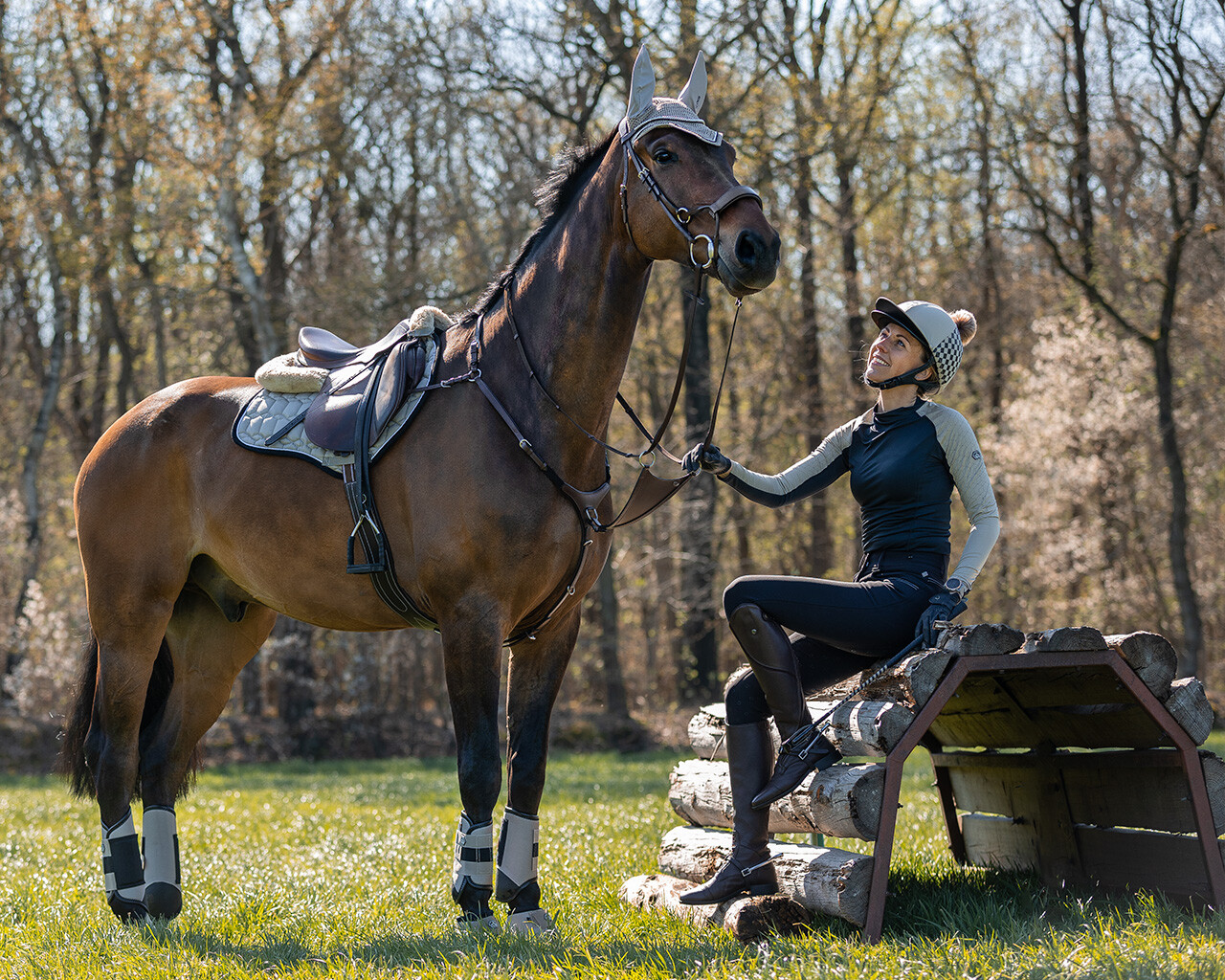 Eventing boots hind leg technical