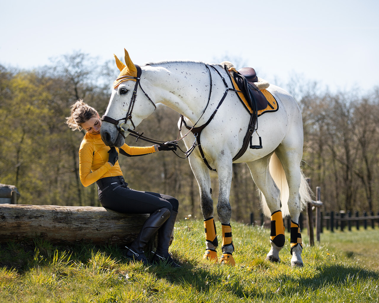 Eventing boots hind leg technical