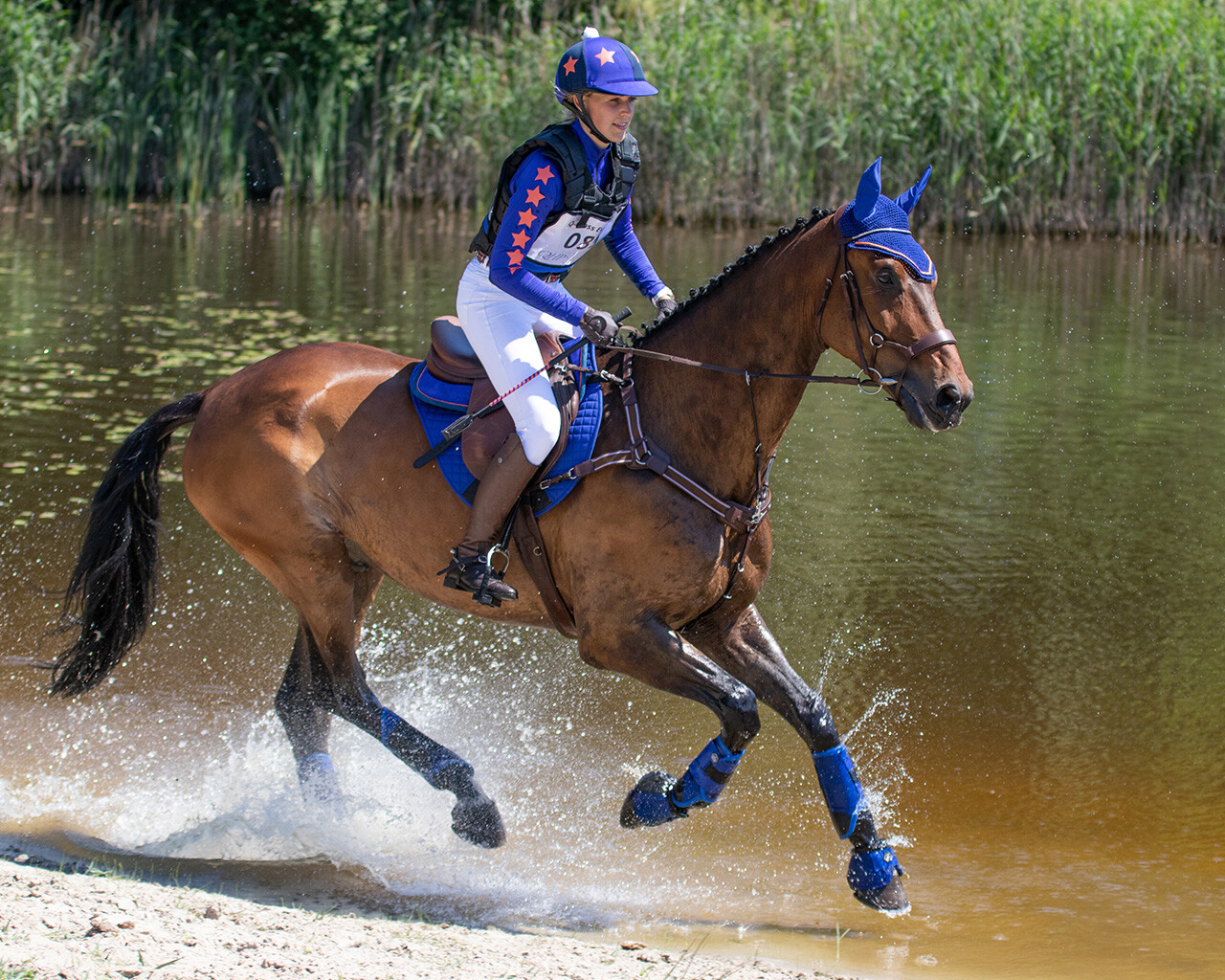 Eventing boots hind leg technical