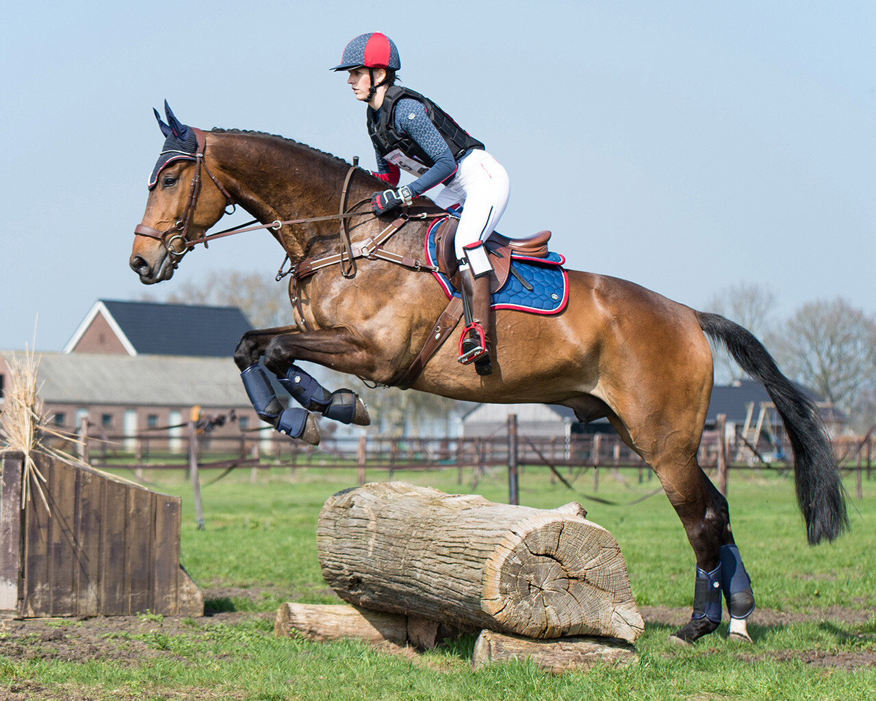 Eventing boots hind leg technical