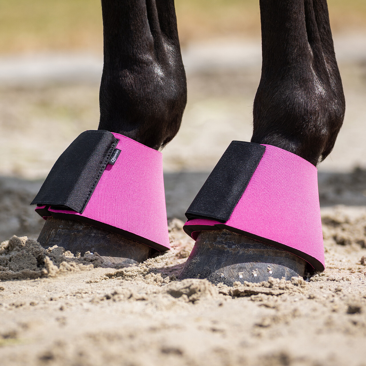 Bell boots neoprene (presale)