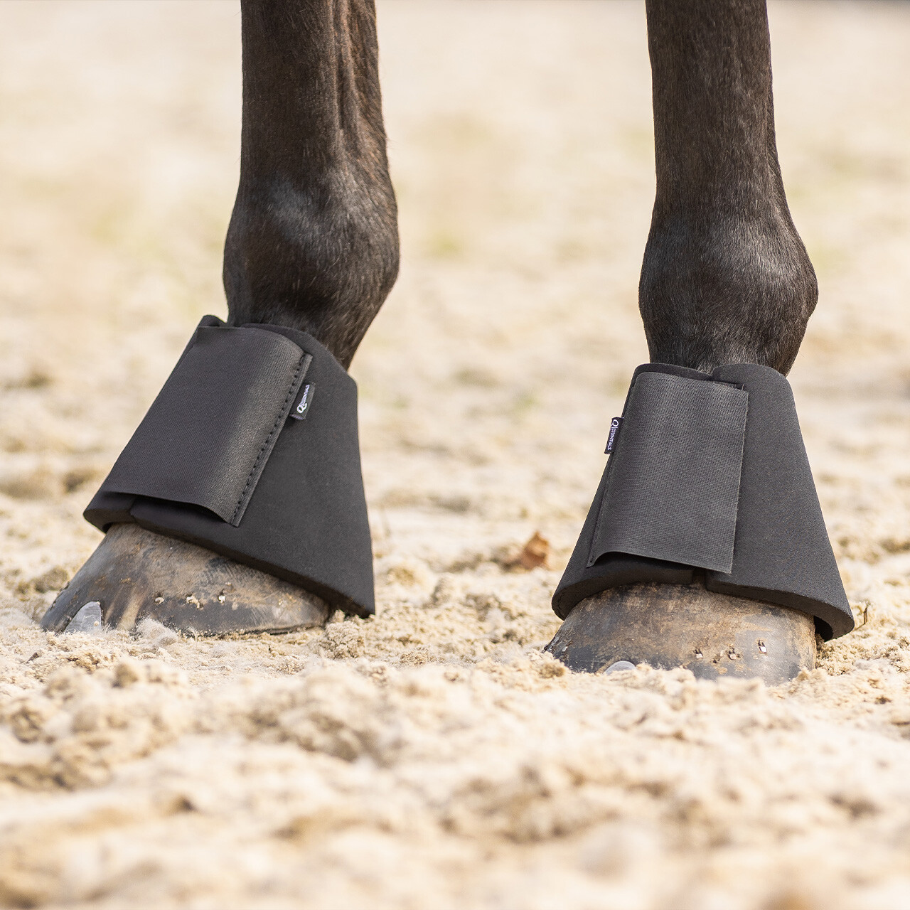 Bell boots neoprene