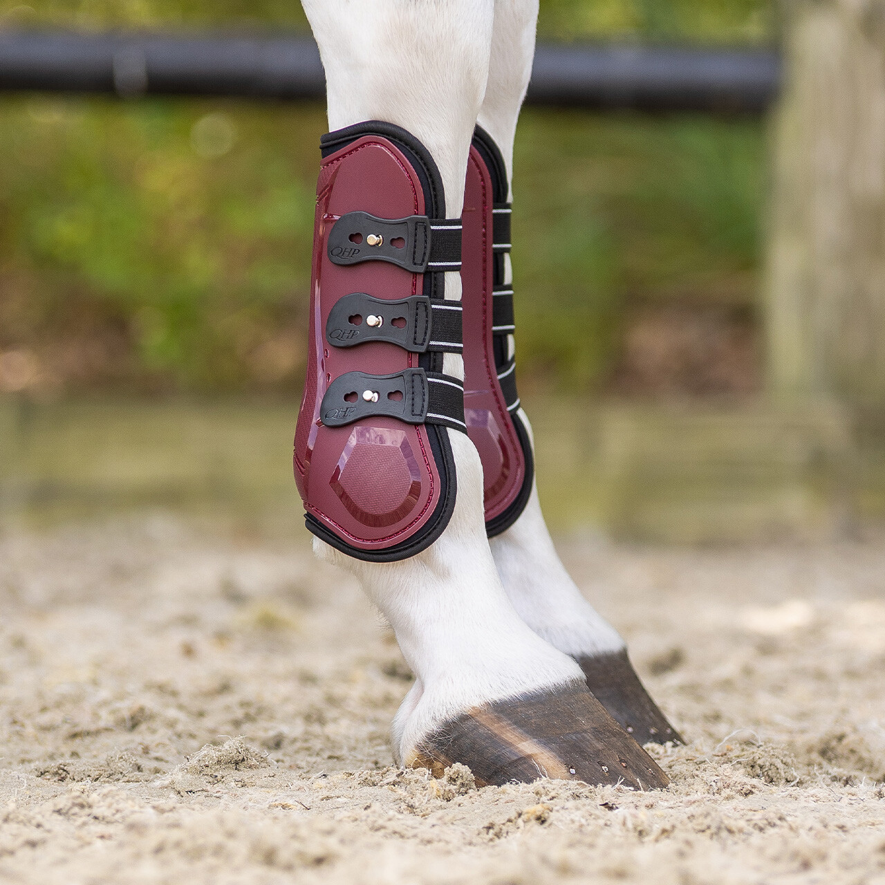 Tendon boots Champion