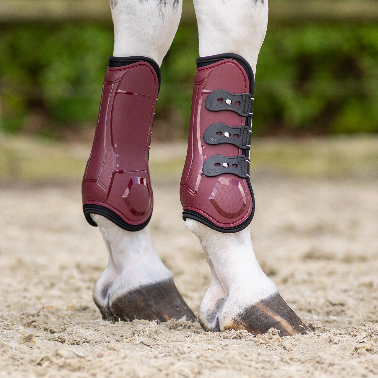 Tendon boots Champion
