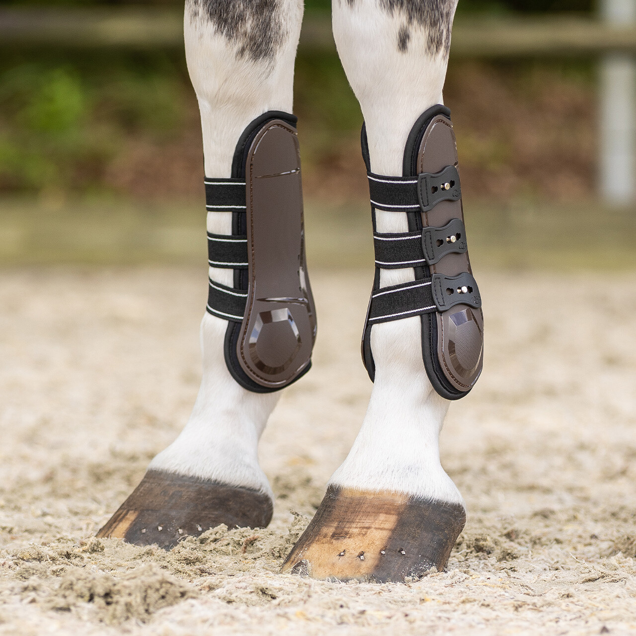 Tendon boots Champion