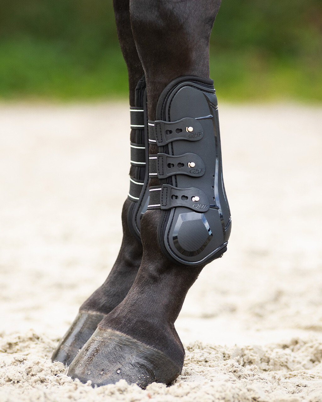 Tendon boots Champion