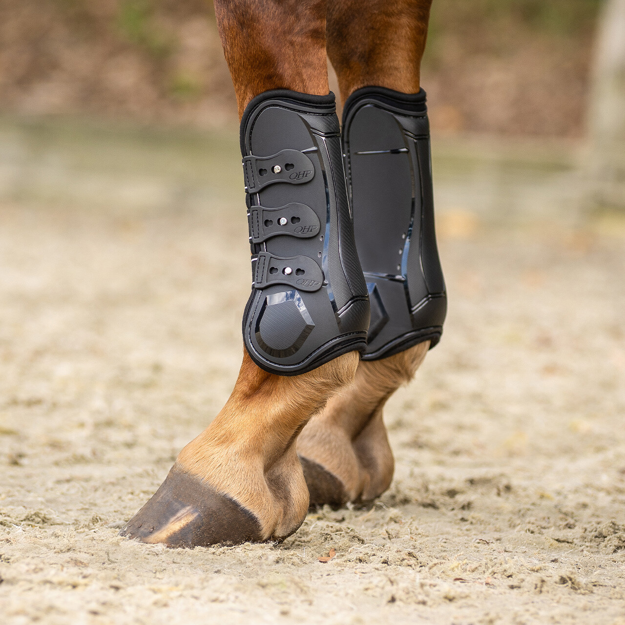 Tendon boots Champion