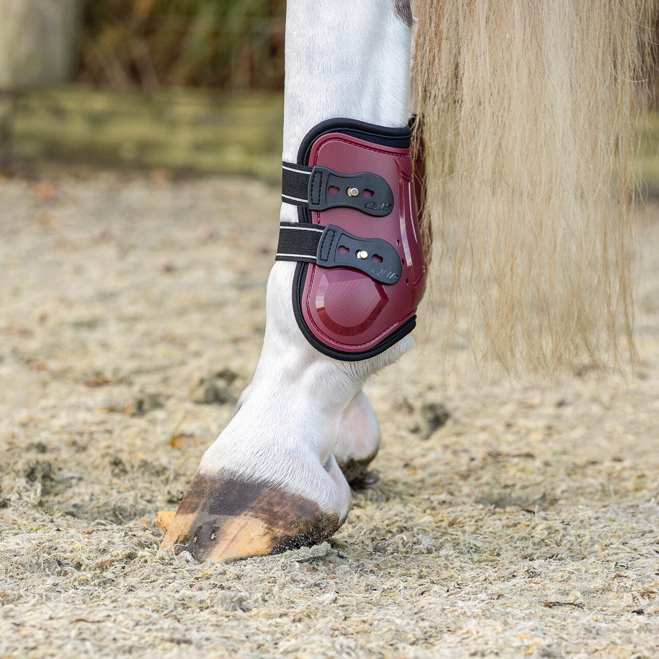Fetlock boots Champion