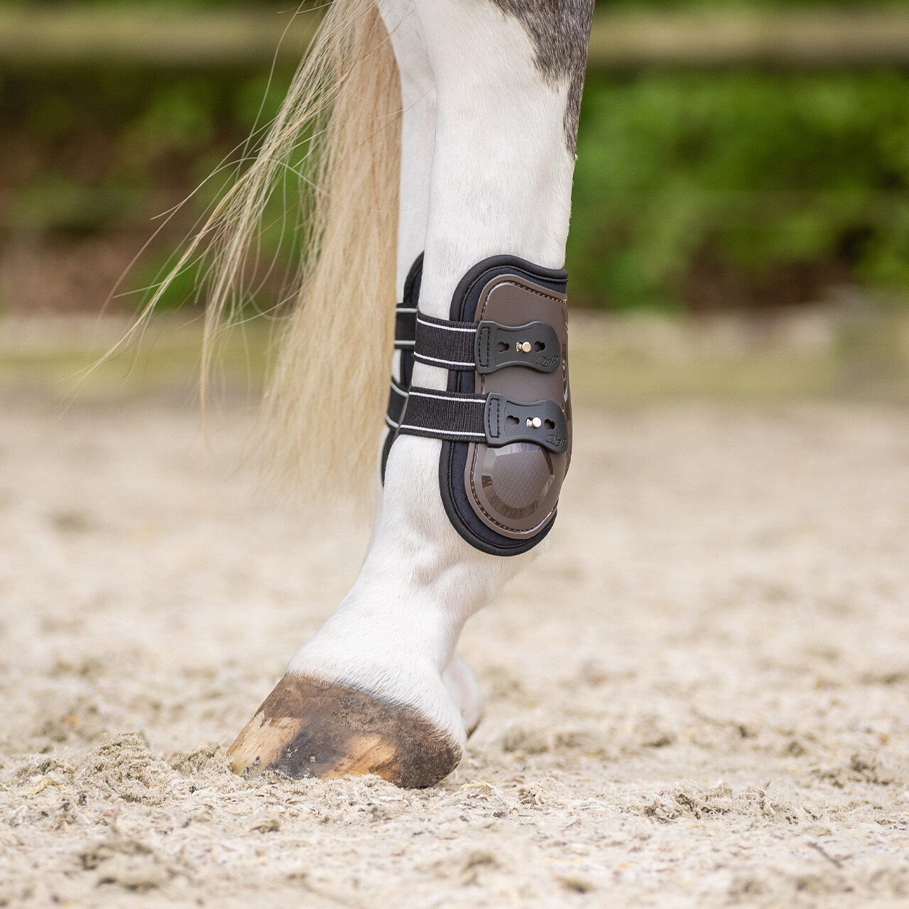 Fetlock boots Champion
