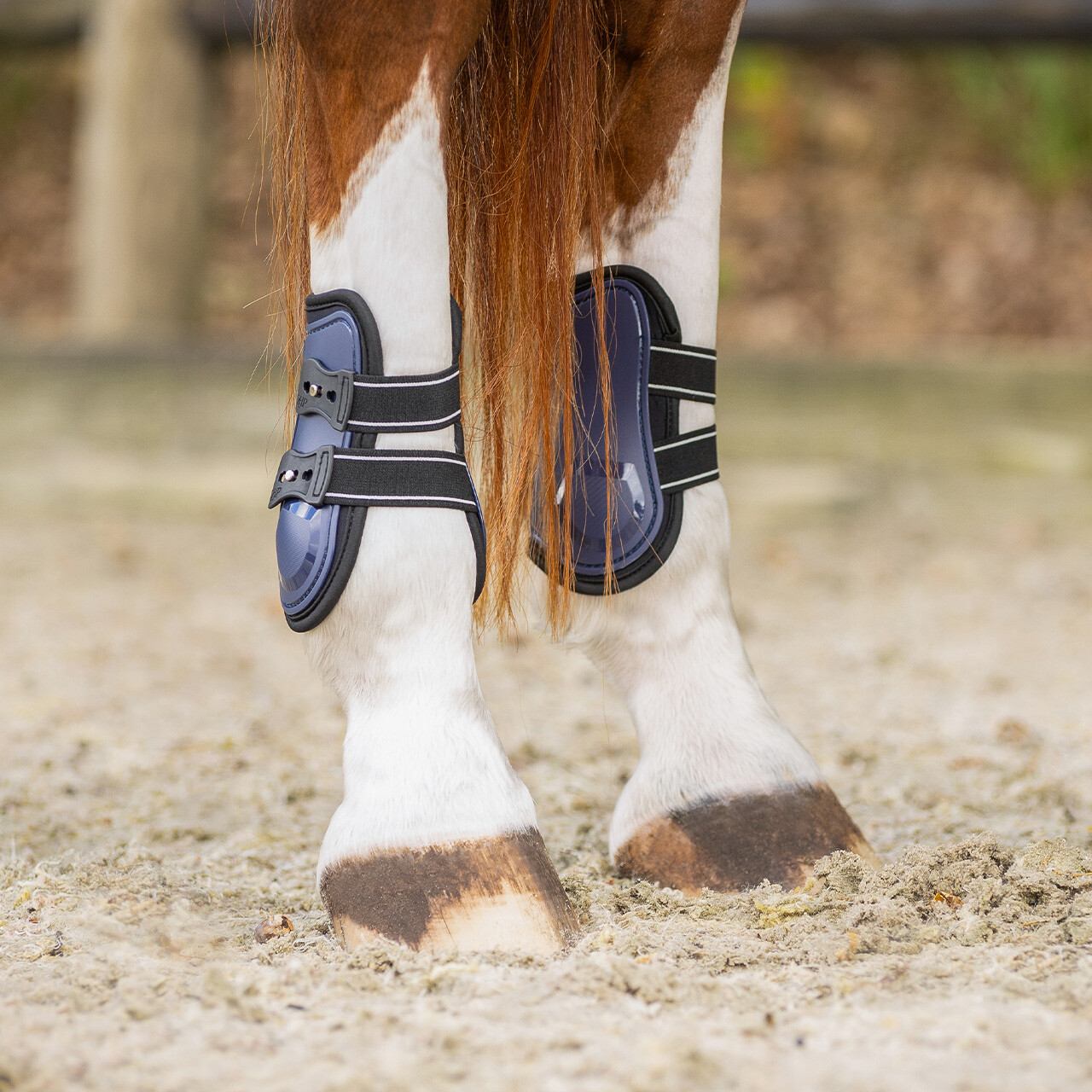 Fetlock boots Champion