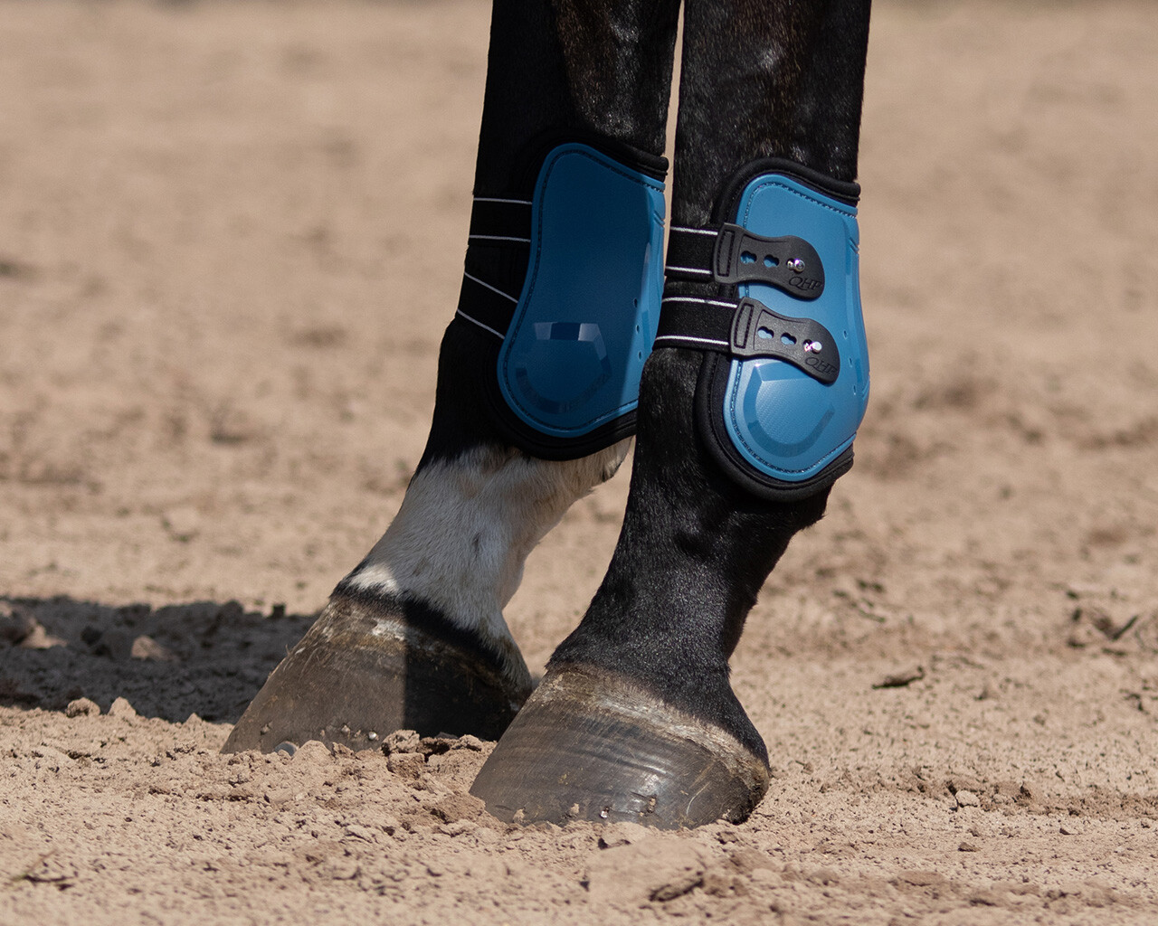 Fetlock boots Champion