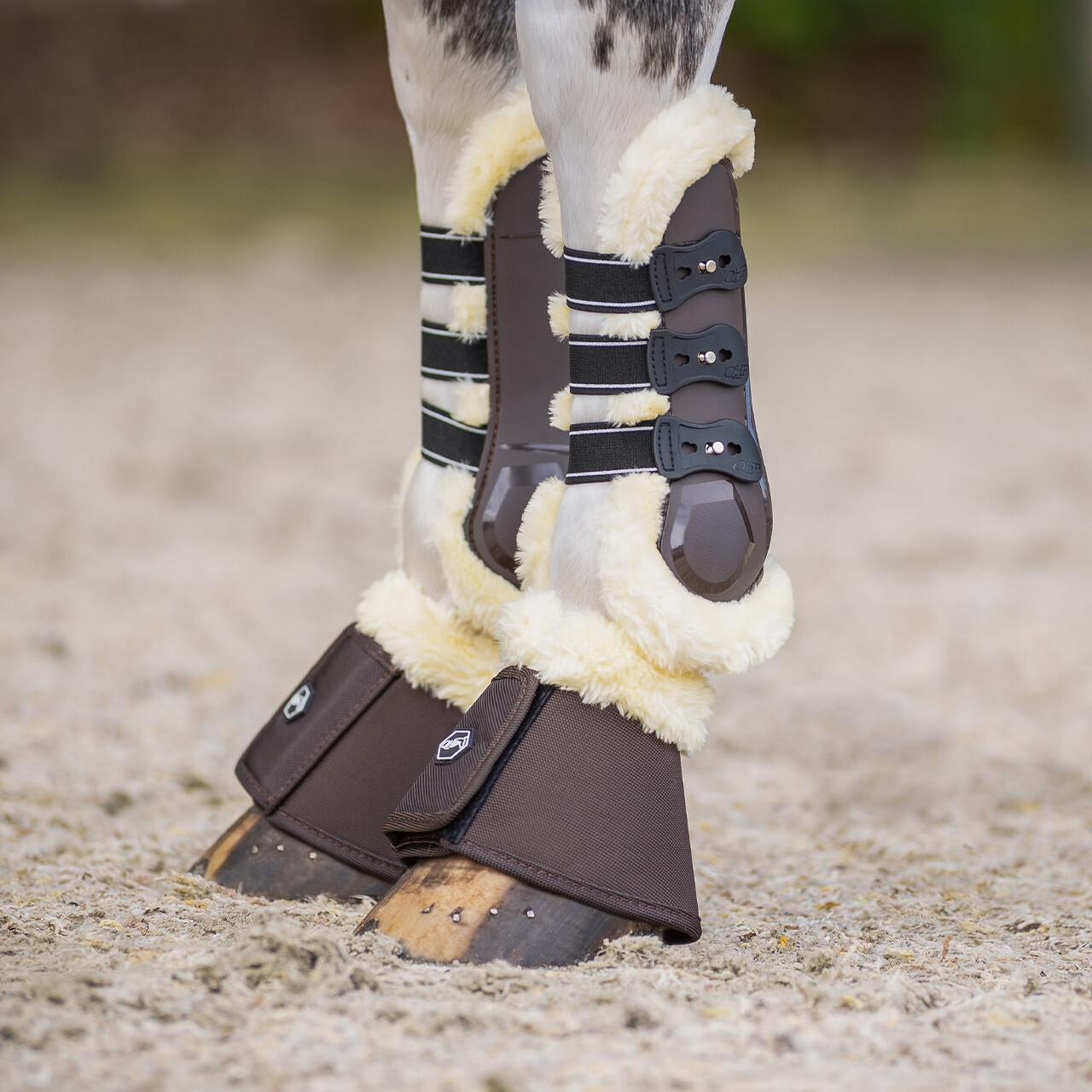 Tendon boots Ontario