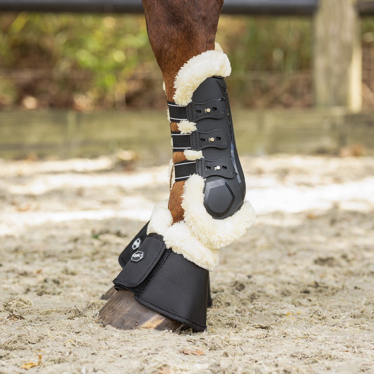 Tendon boots Ontario