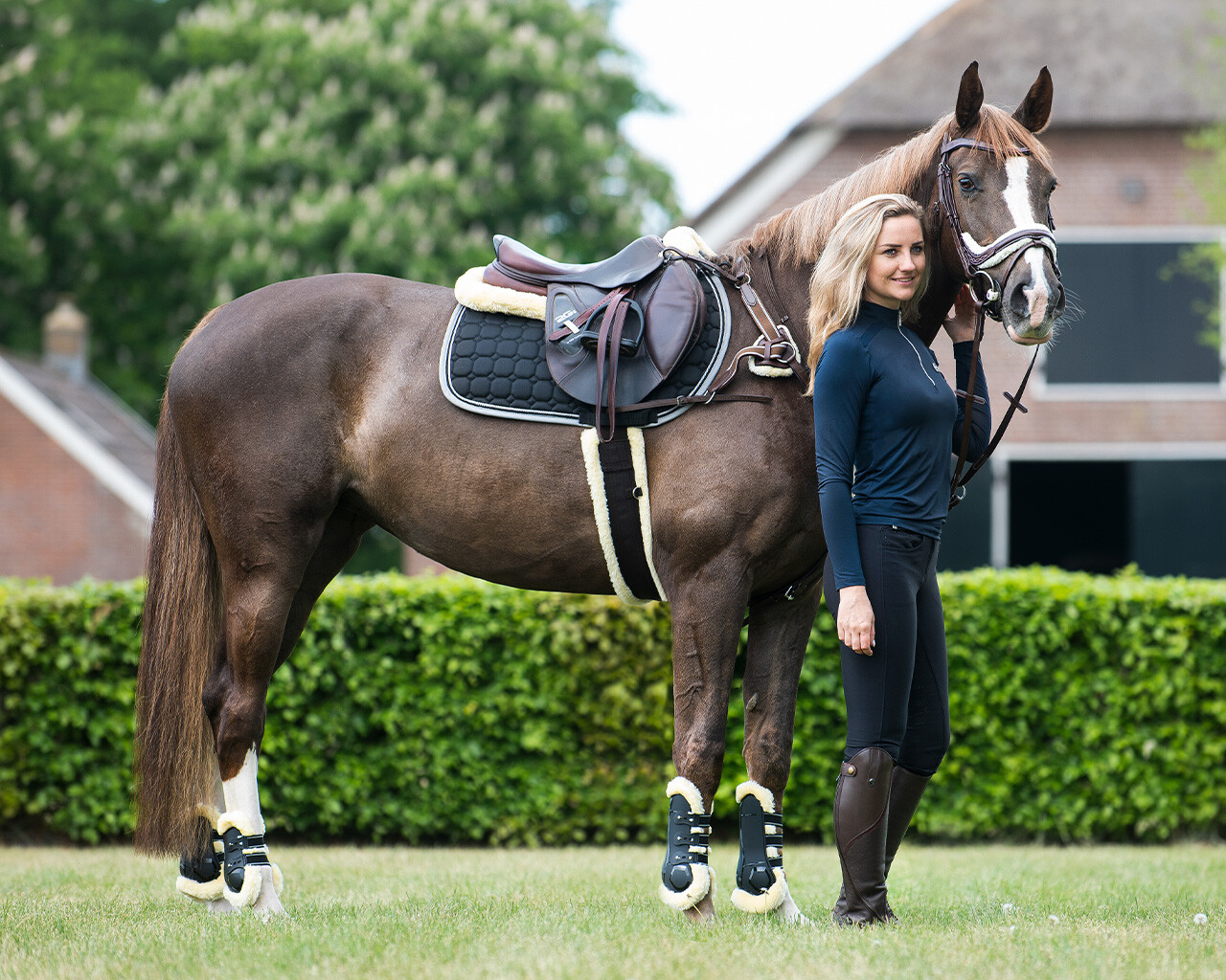 Tendon boots Ontario
