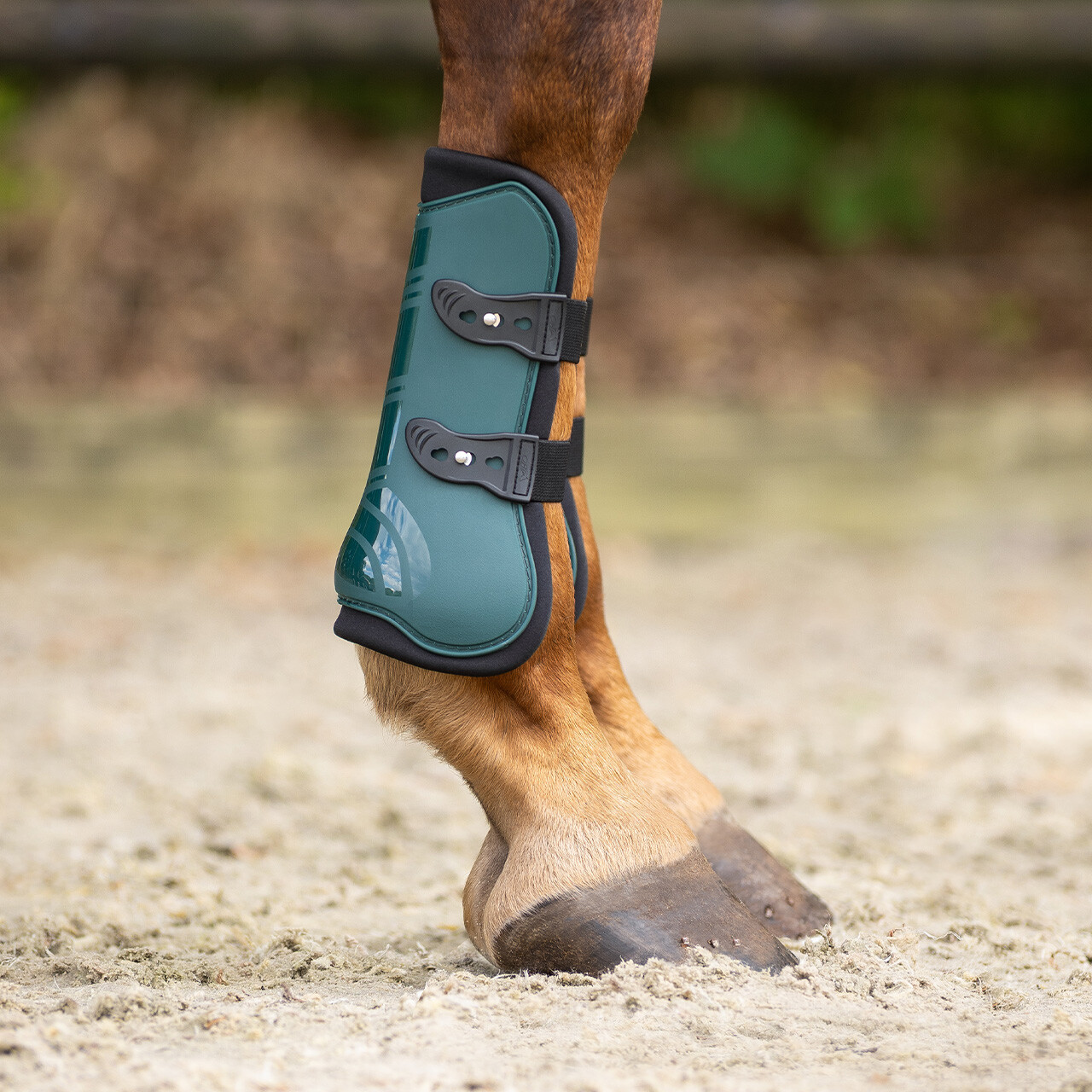 Tendon boots set