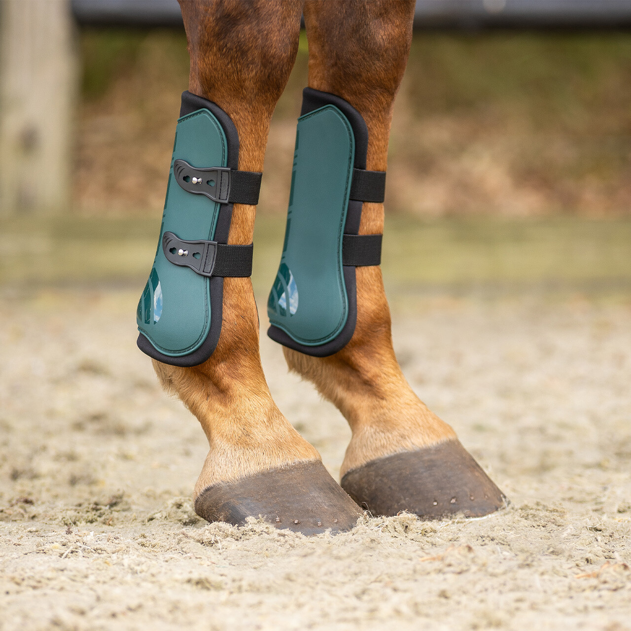 Tendon boots set