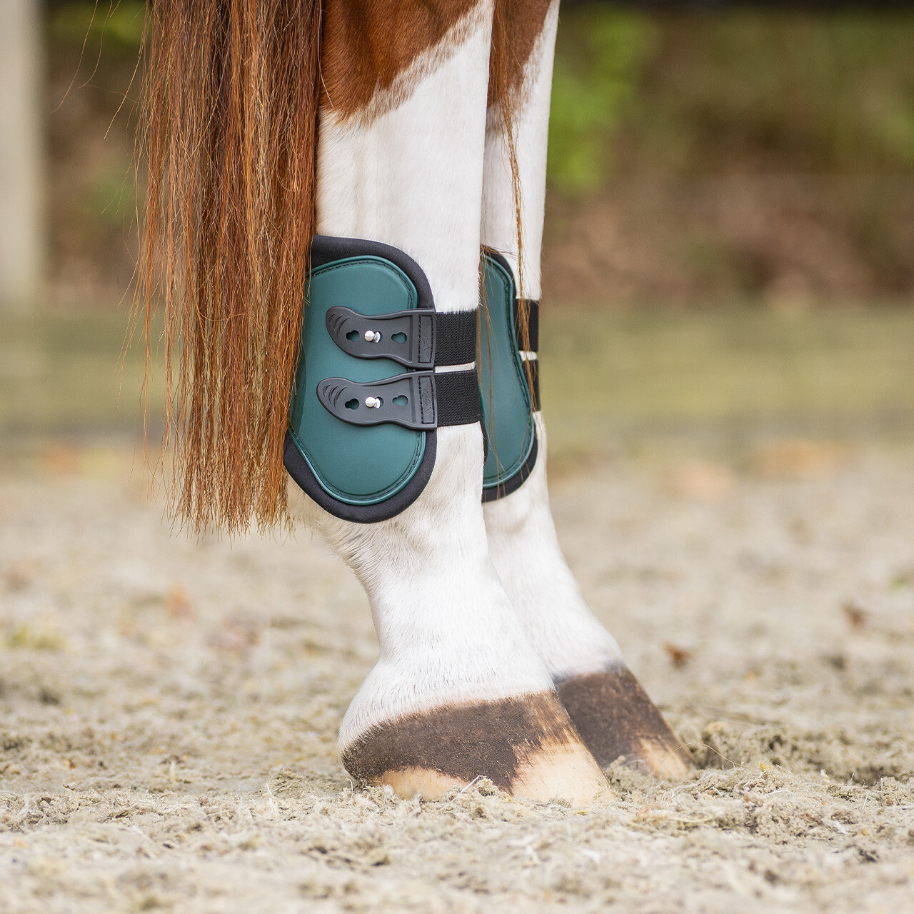 Tendon boots set