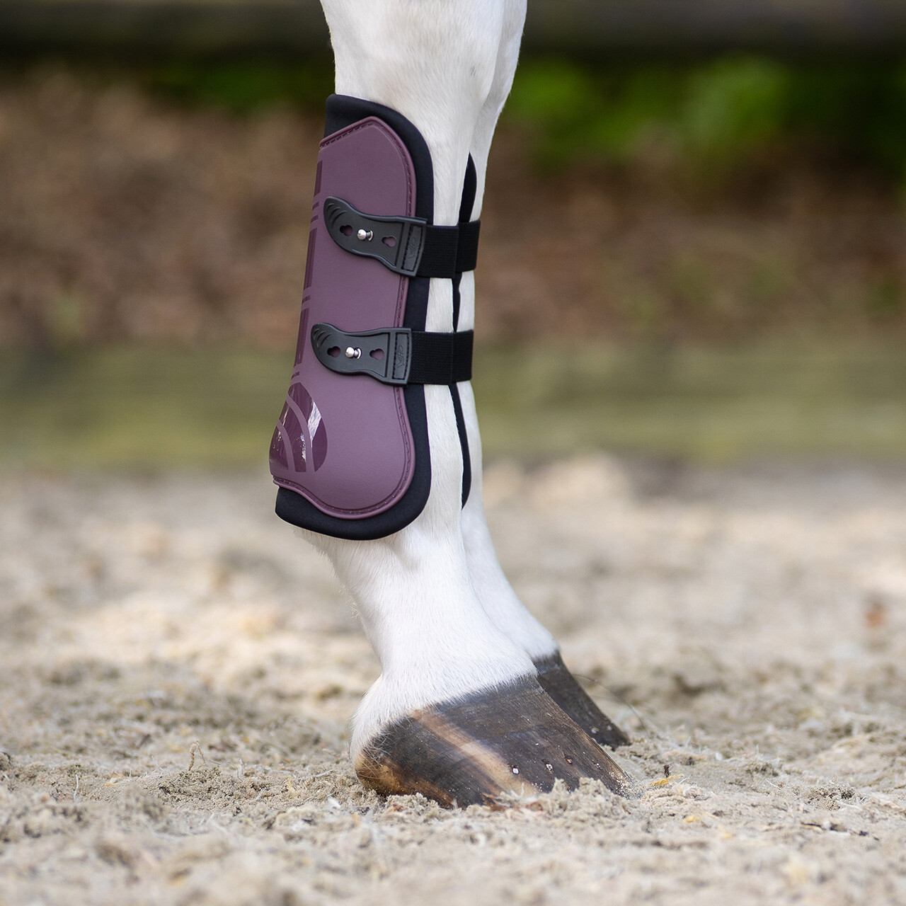 Tendon boots set