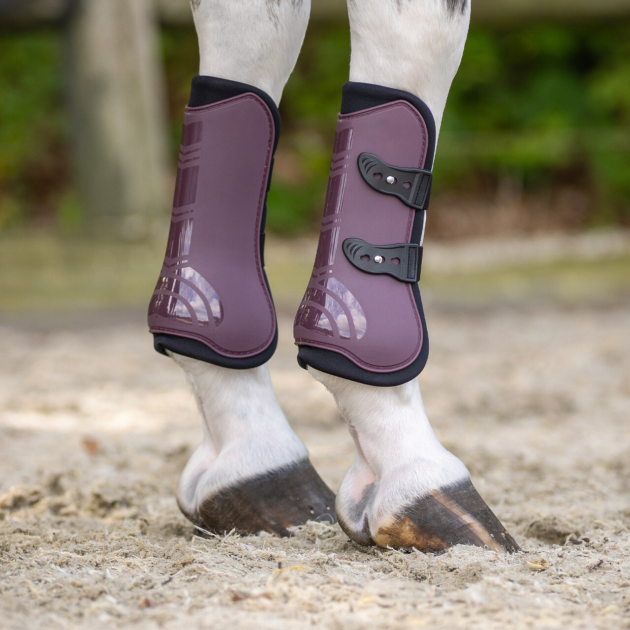 Tendon boots set