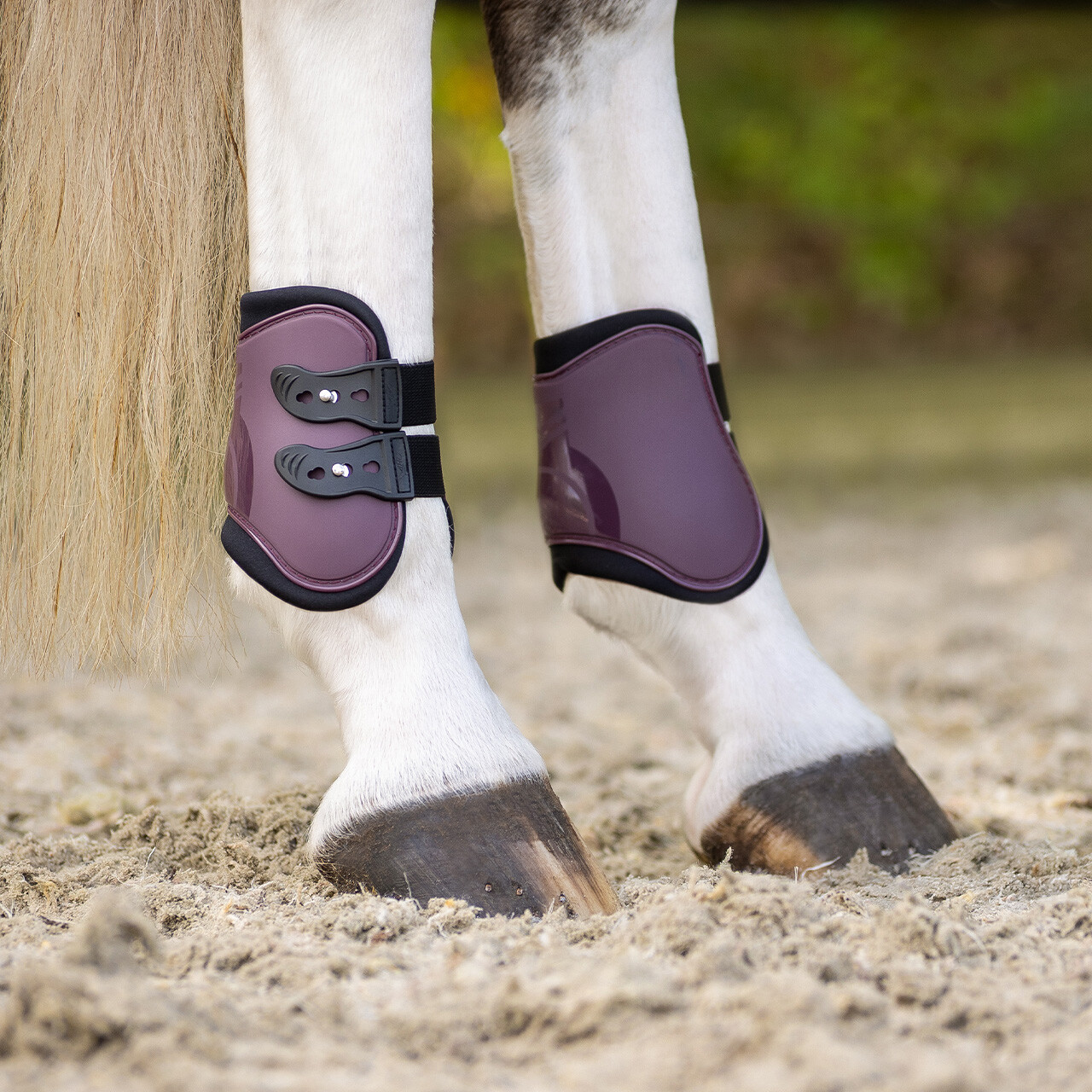 Tendon boots set