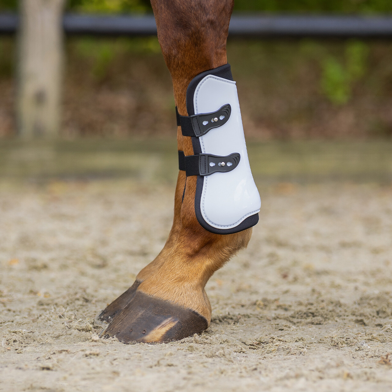 Tendon boots set