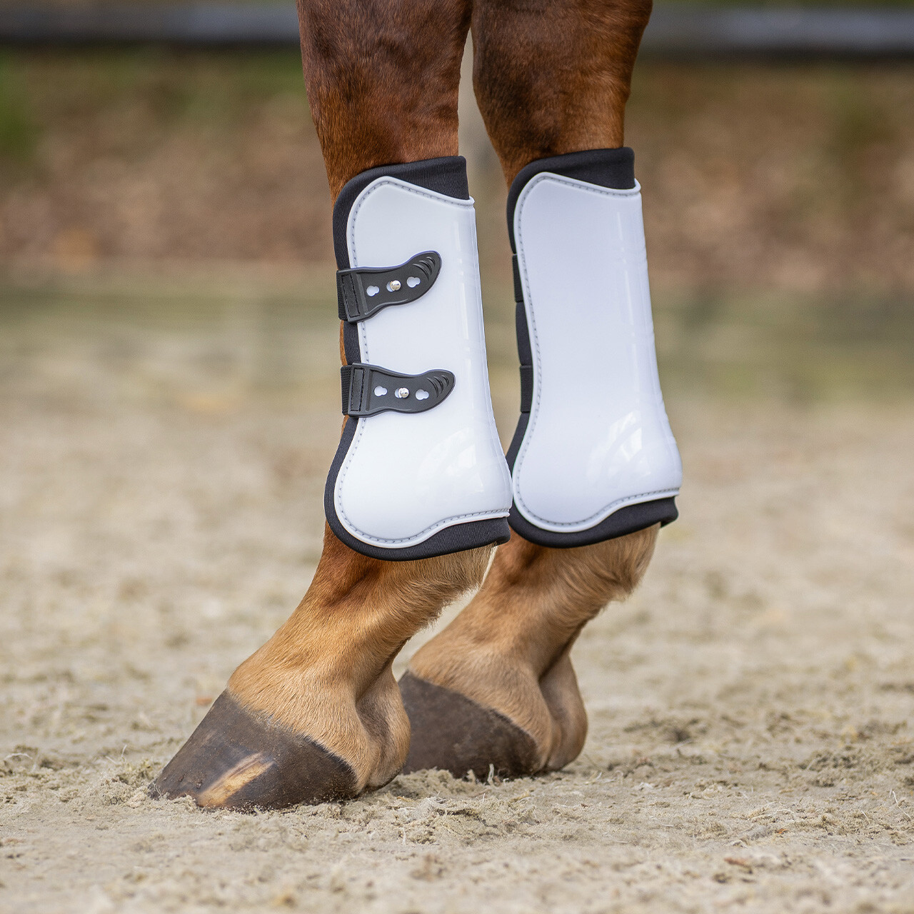 Tendon boots set