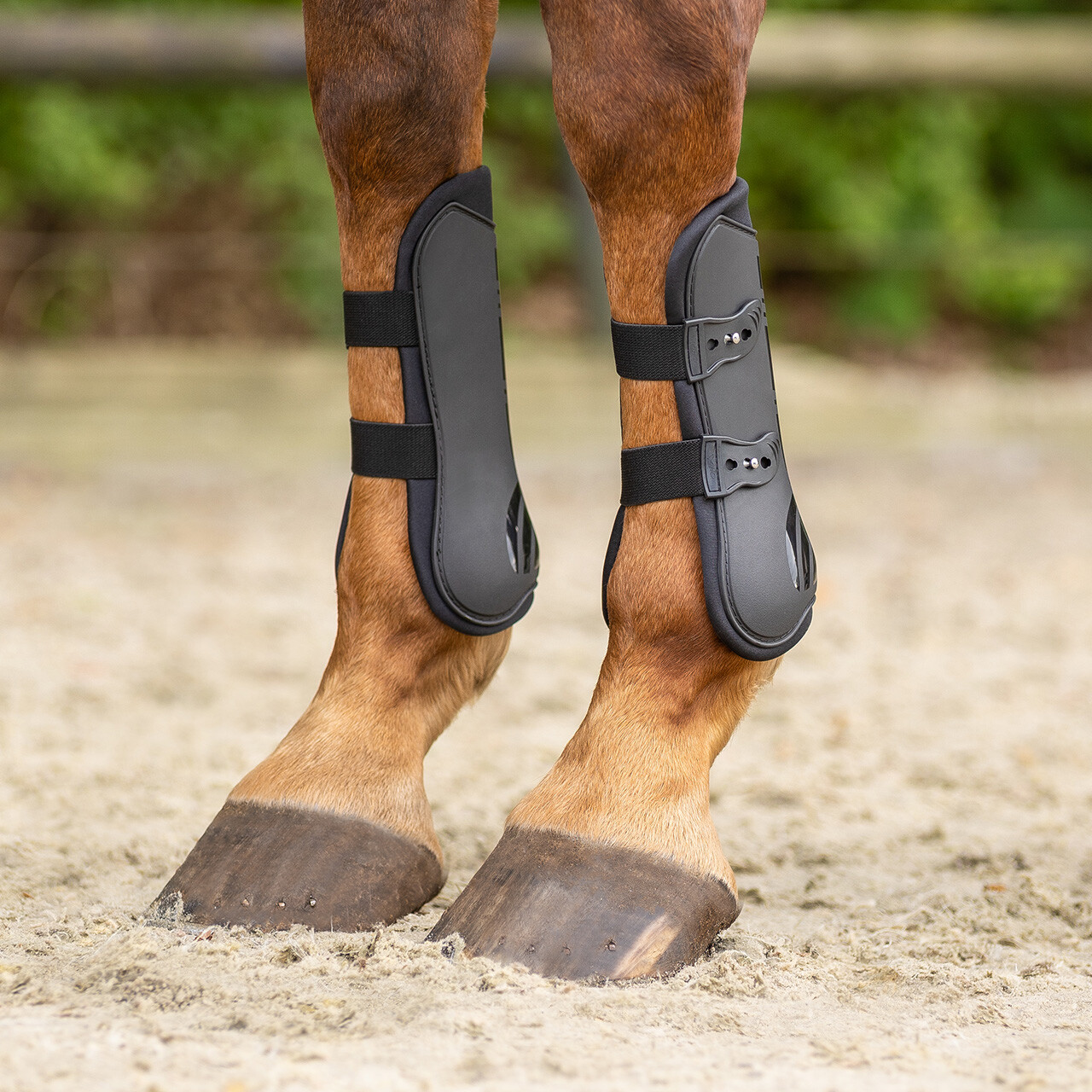 Tendon boots set