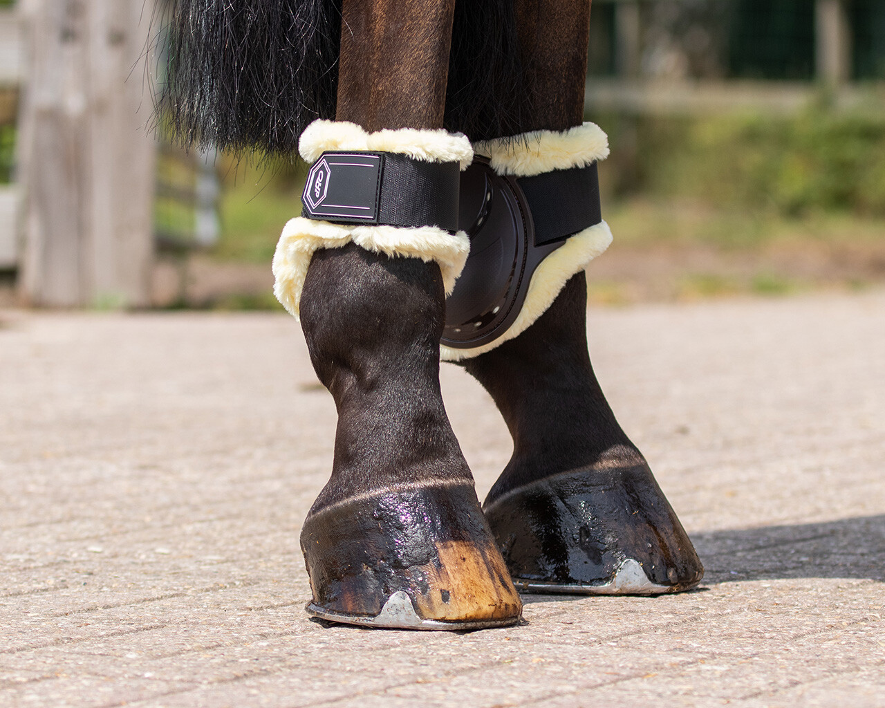 Fetlock boots Tario
