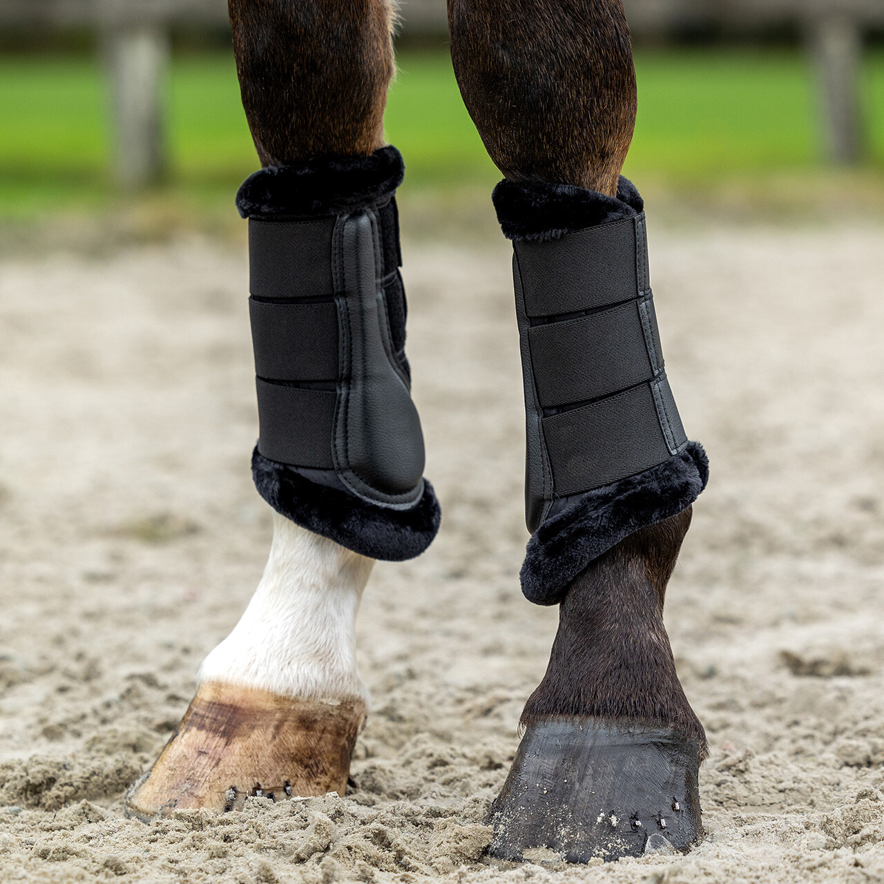 Leg protection Livora