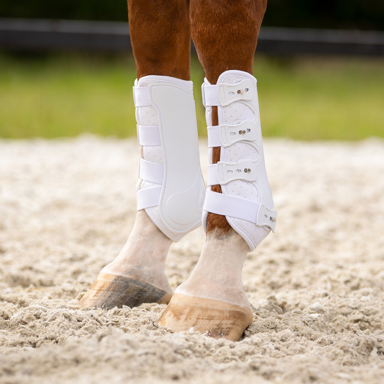 Leg protection front Champion