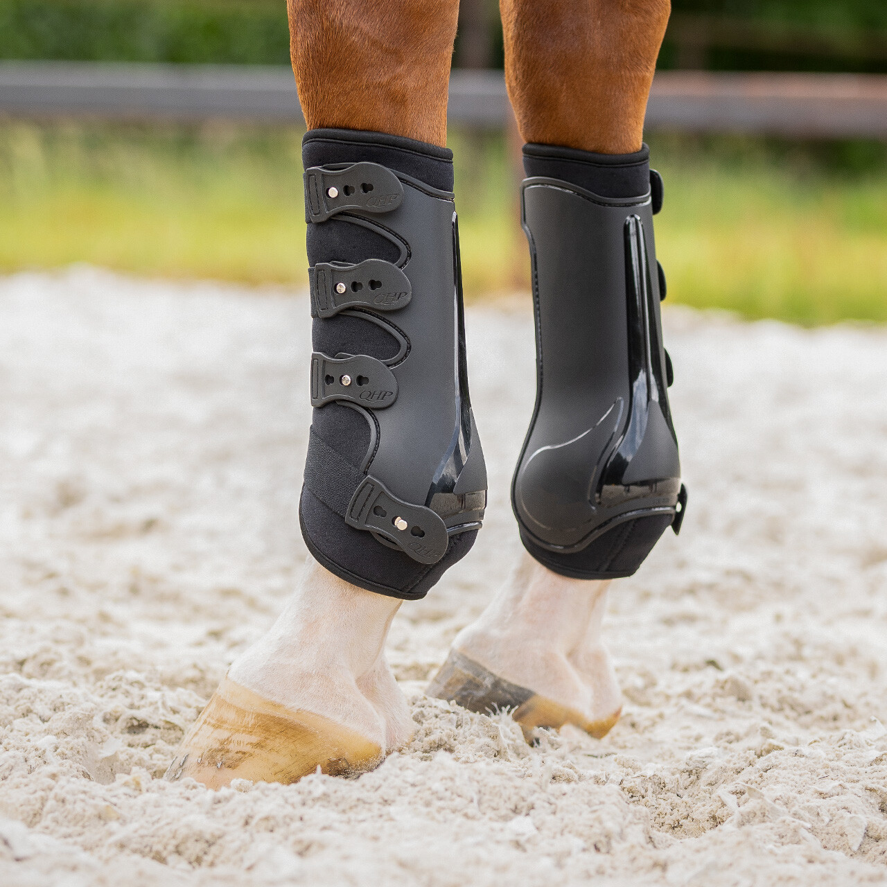 Leg protection front Champion