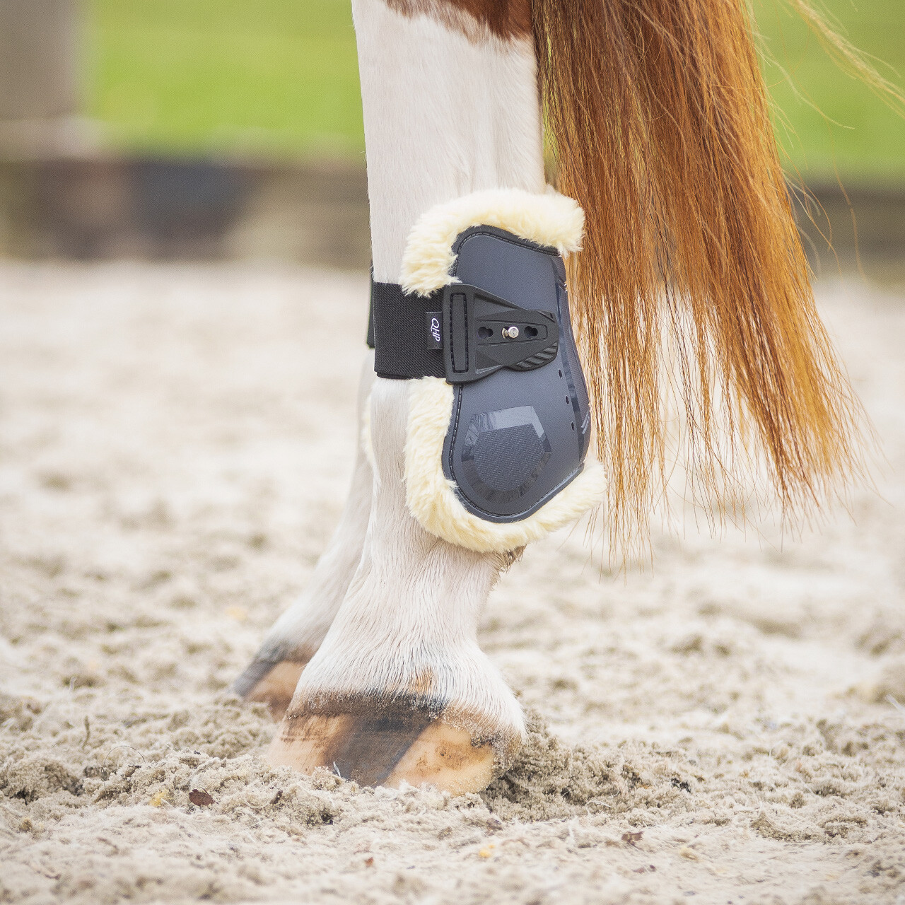 Fetlock boots Sensisoft