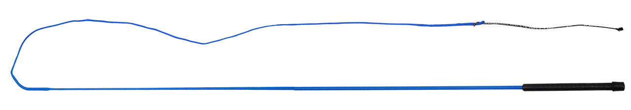 Lunging whip