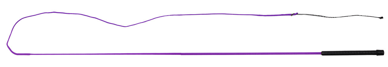 Lunging whip
