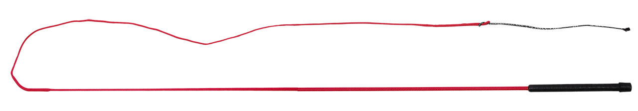 Lunging whip