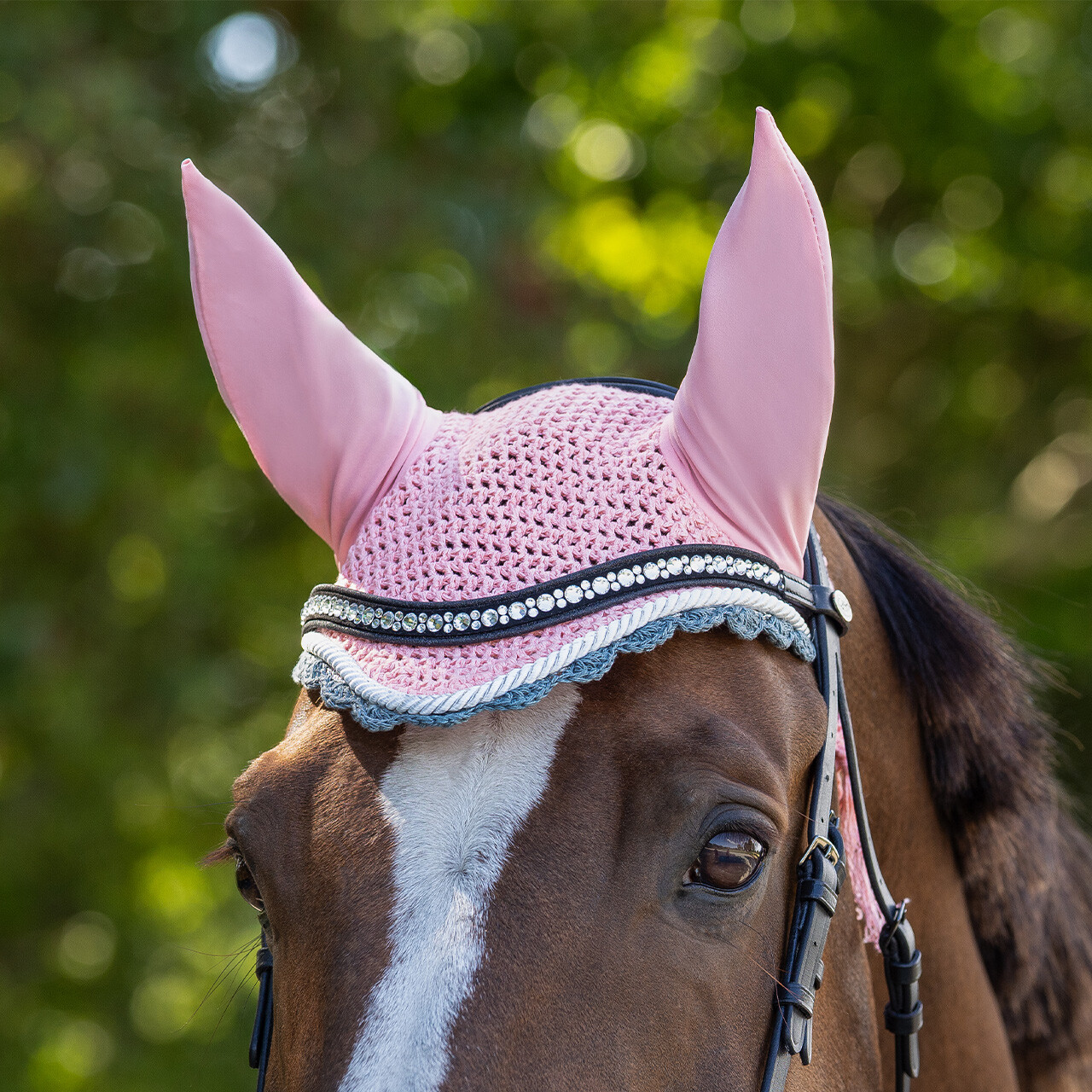 Ear hat Color