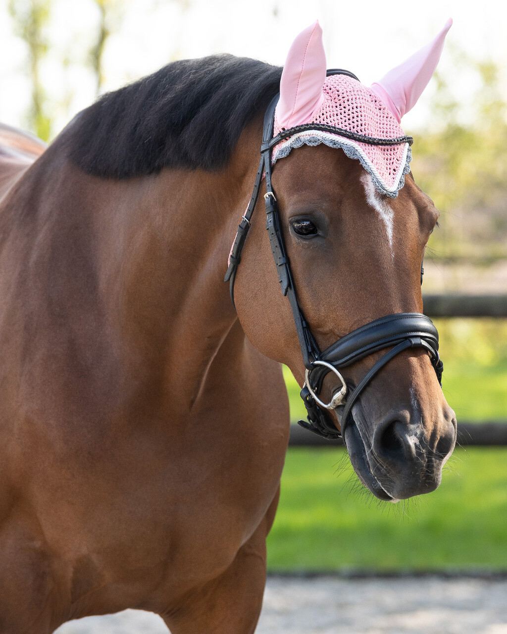 Ear hat Color