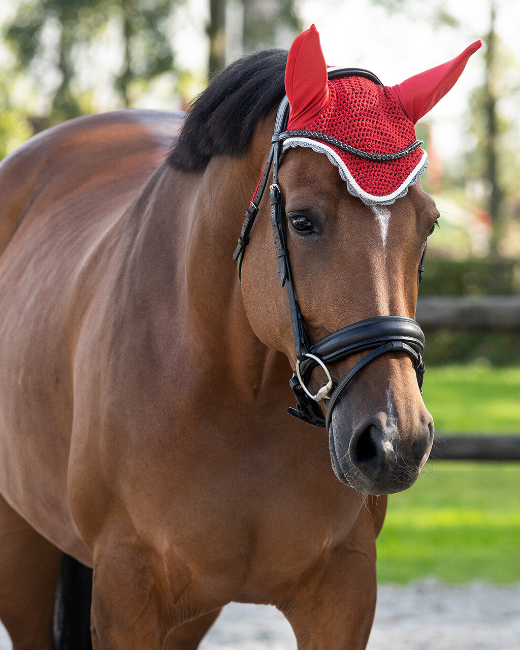 Ear hat Color