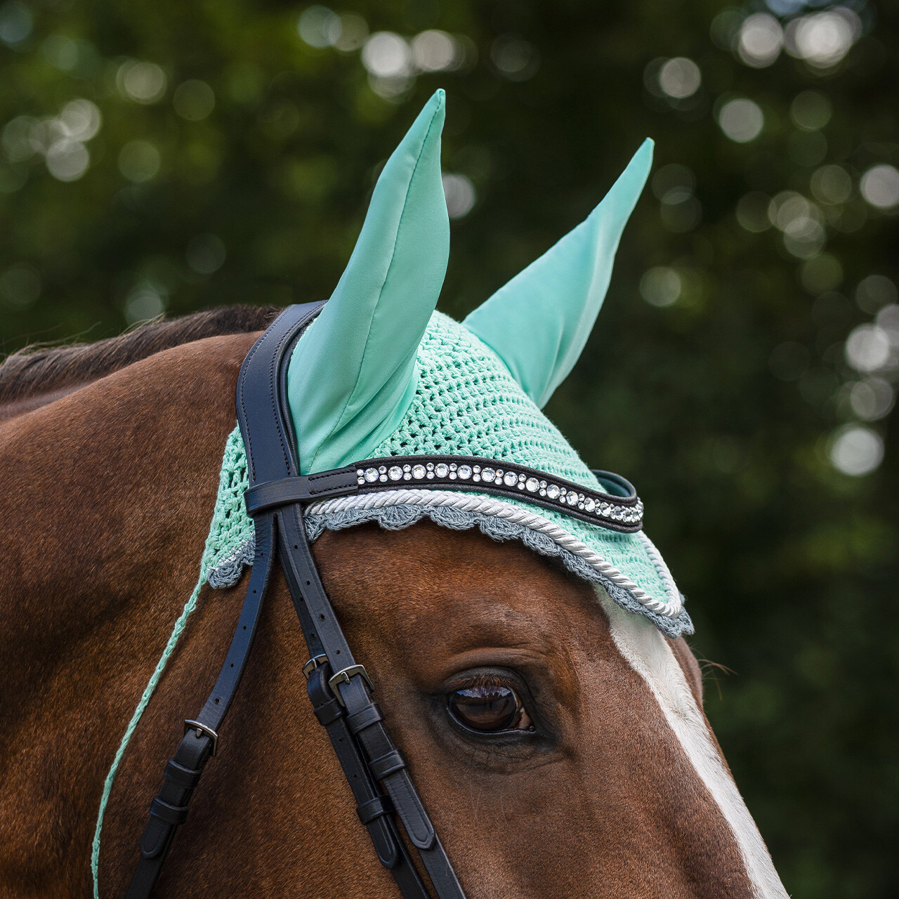 Ear hat Color