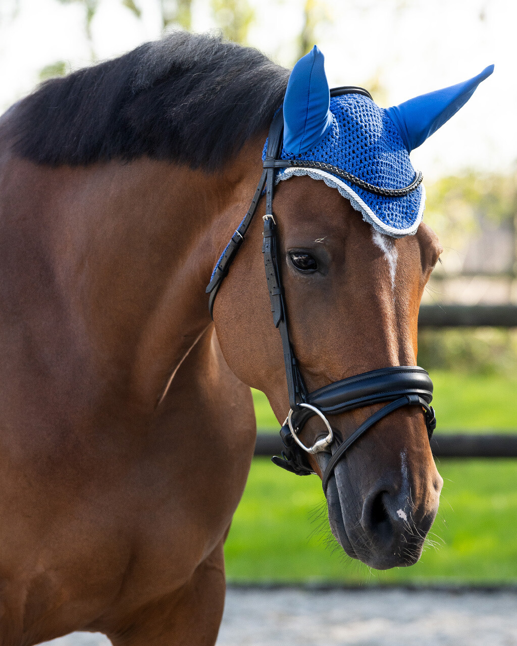 Ear hat Color